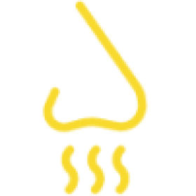 Murprotec Germany muffiger-geruch-icon-rhl6r8jpxixip31caome5v792dezlilerqpo0zghrk Homepage - Murprotec Deutschland  